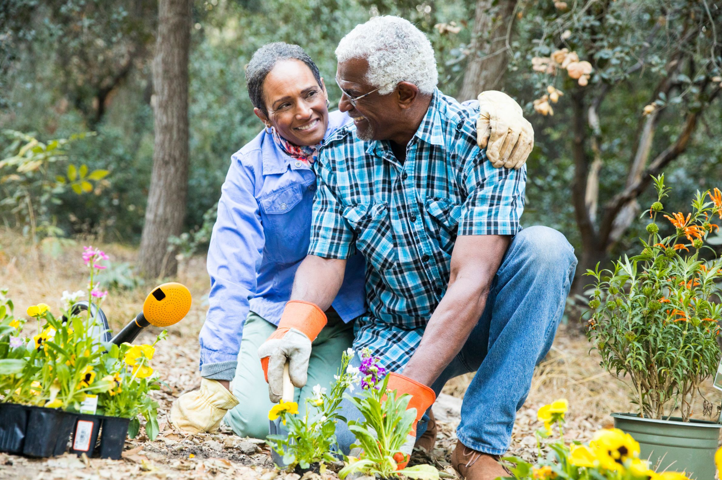 Middle Aged Black Couple in Garden