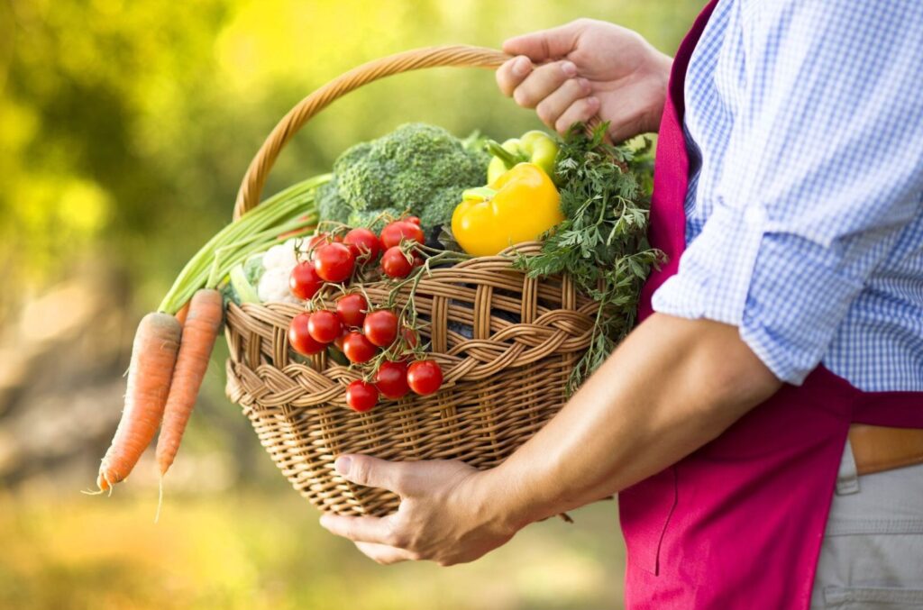 Person holding veggies in basket