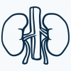 kidney4